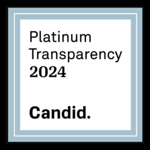 Platinum transparancy 2024